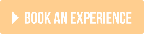 Book an Experience